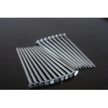 China Common Nail Iron Nail Manufacturer Cheap Wire Nails Price